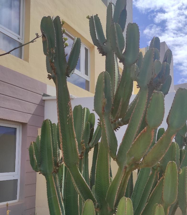 Apartamento Con Azotea Privada #Thefunnycactus Lägenhet Puerto del Rosario  Exteriör bild